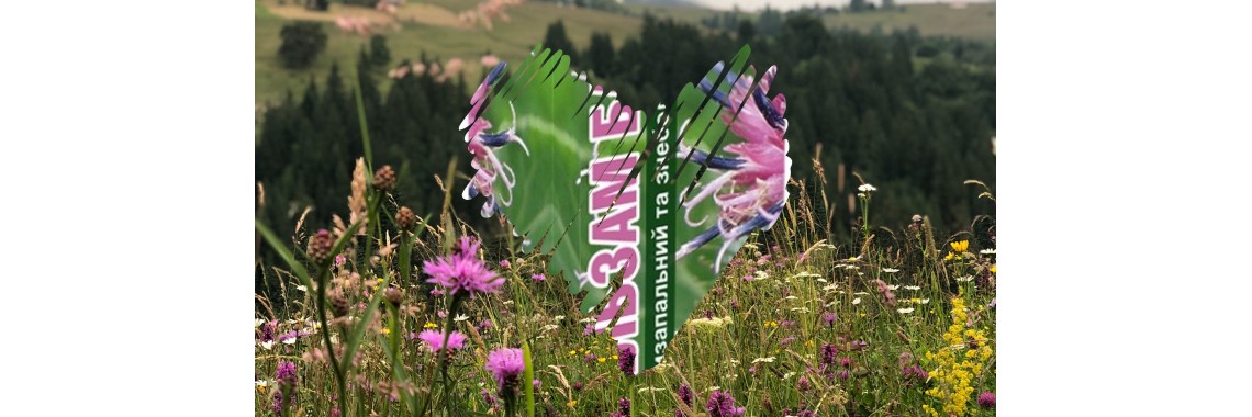 Корисна Інформація